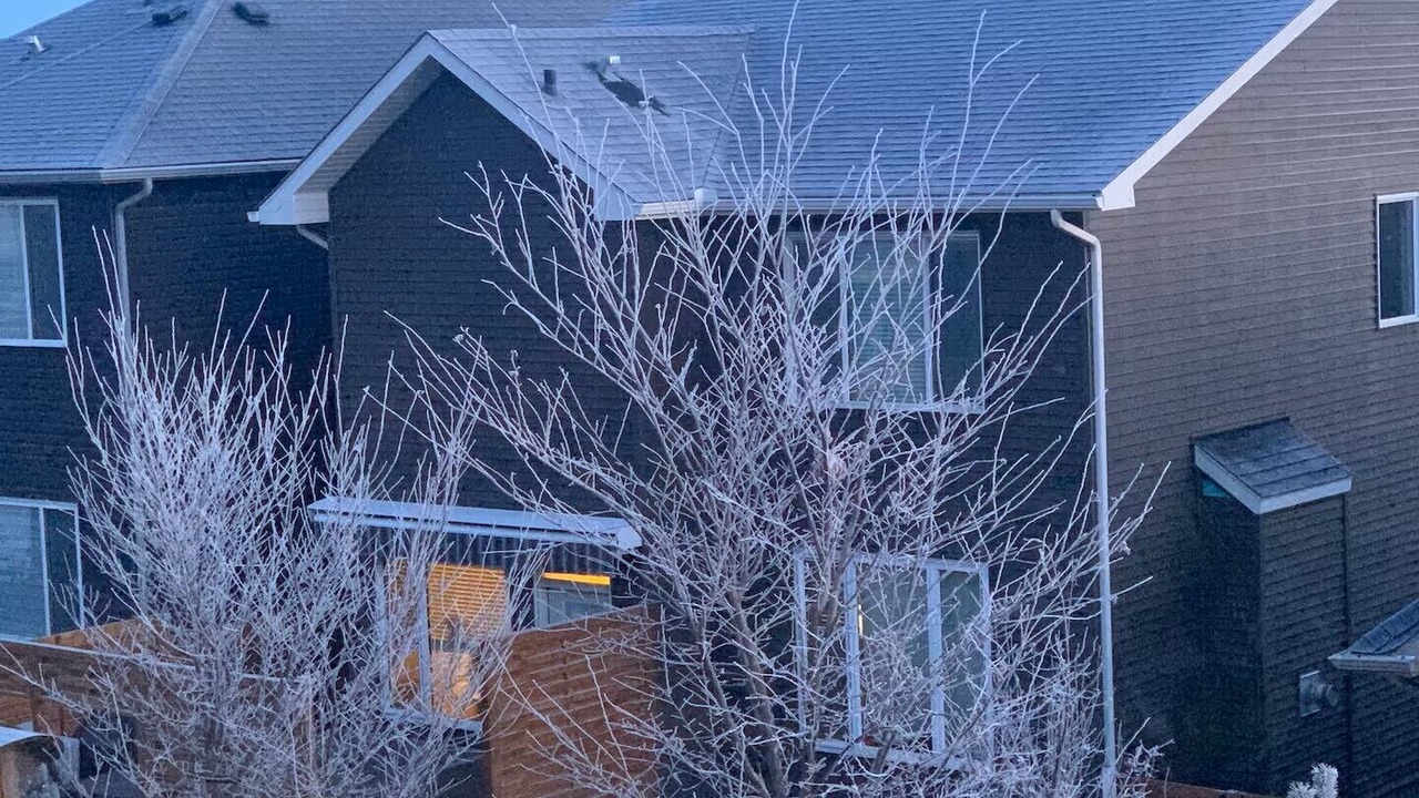 Photo of Outdoor in Northwest Calgary
