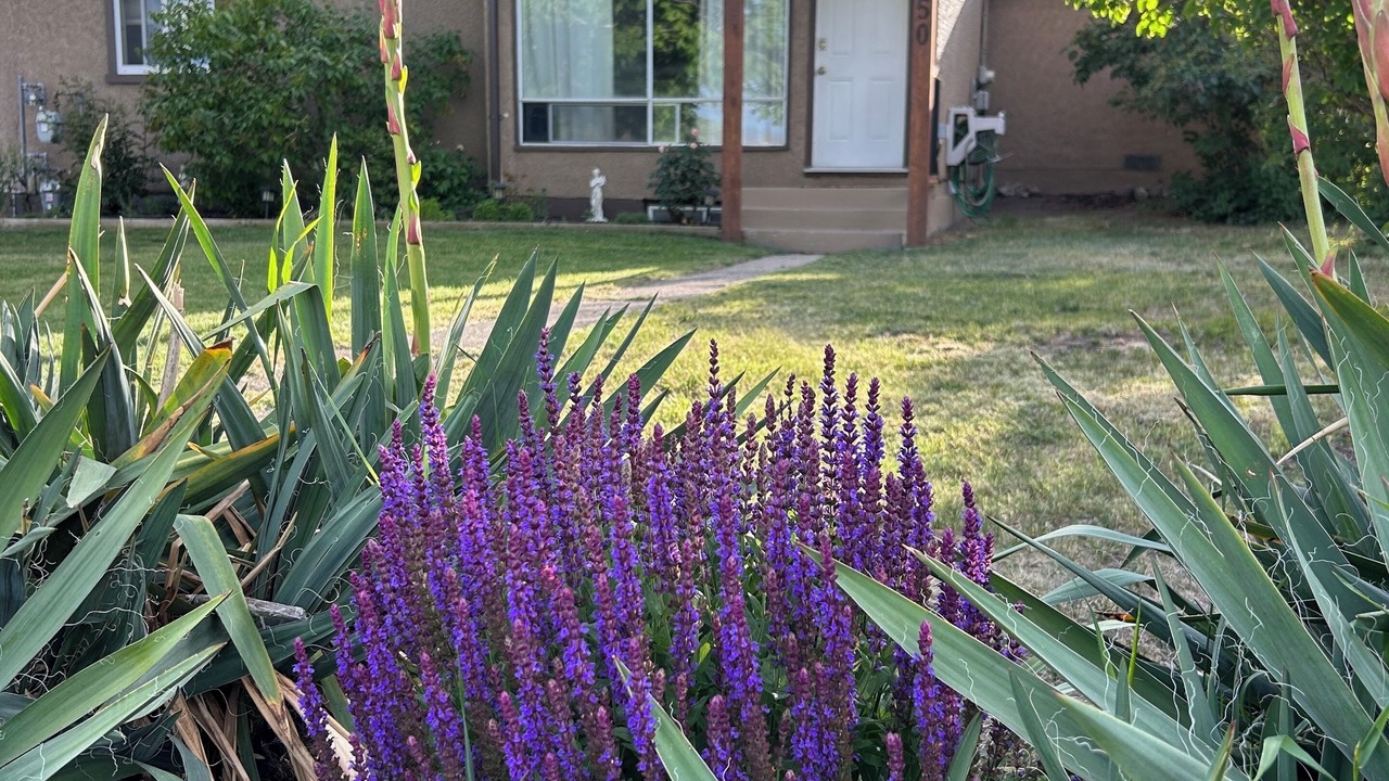 Photo of Outdoor in Central Okanagan