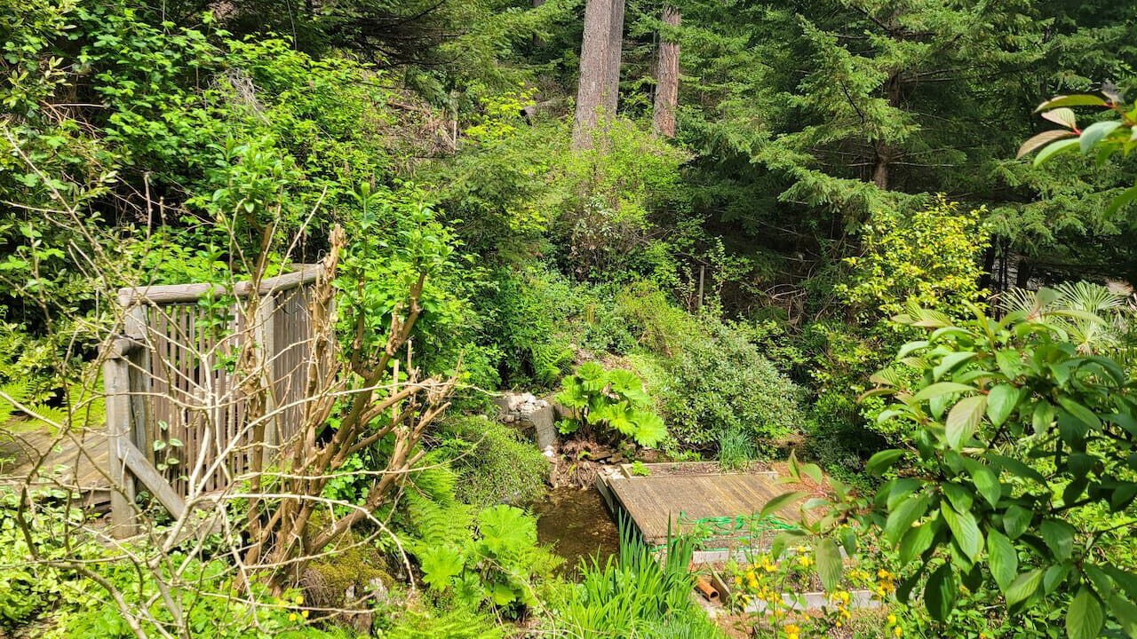 Photo of Outdoor in Bowen Island