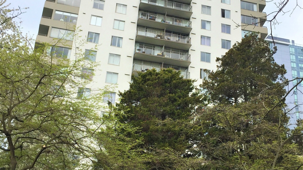 Photo of Outdoor in West End