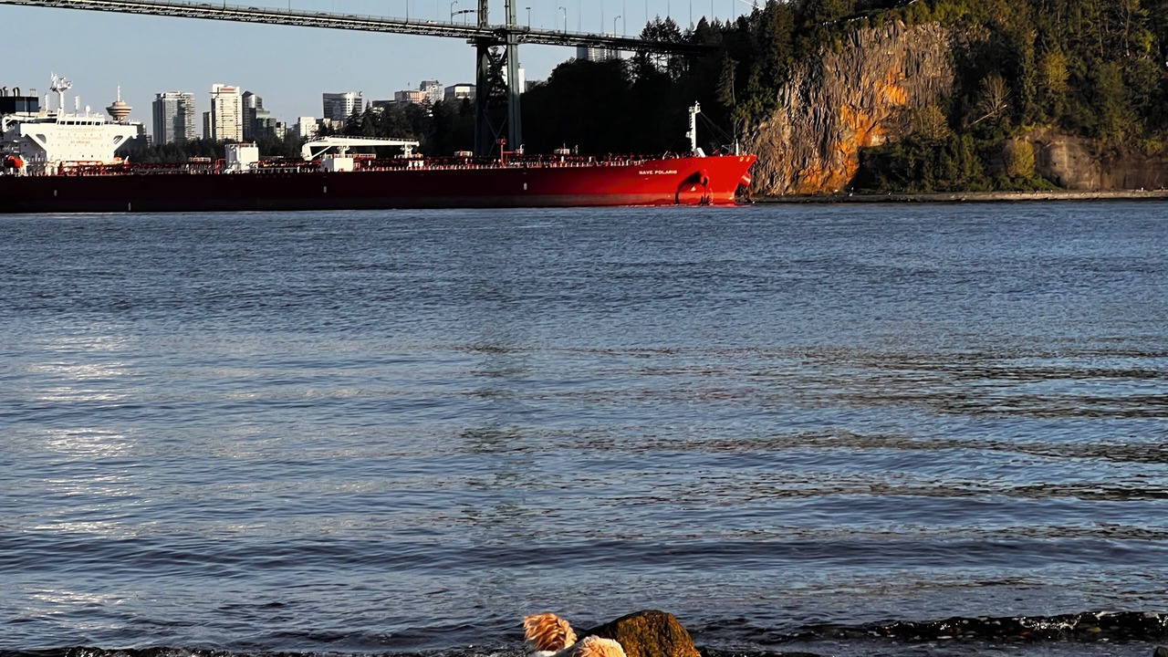 Photo of Others in West Vancouver
