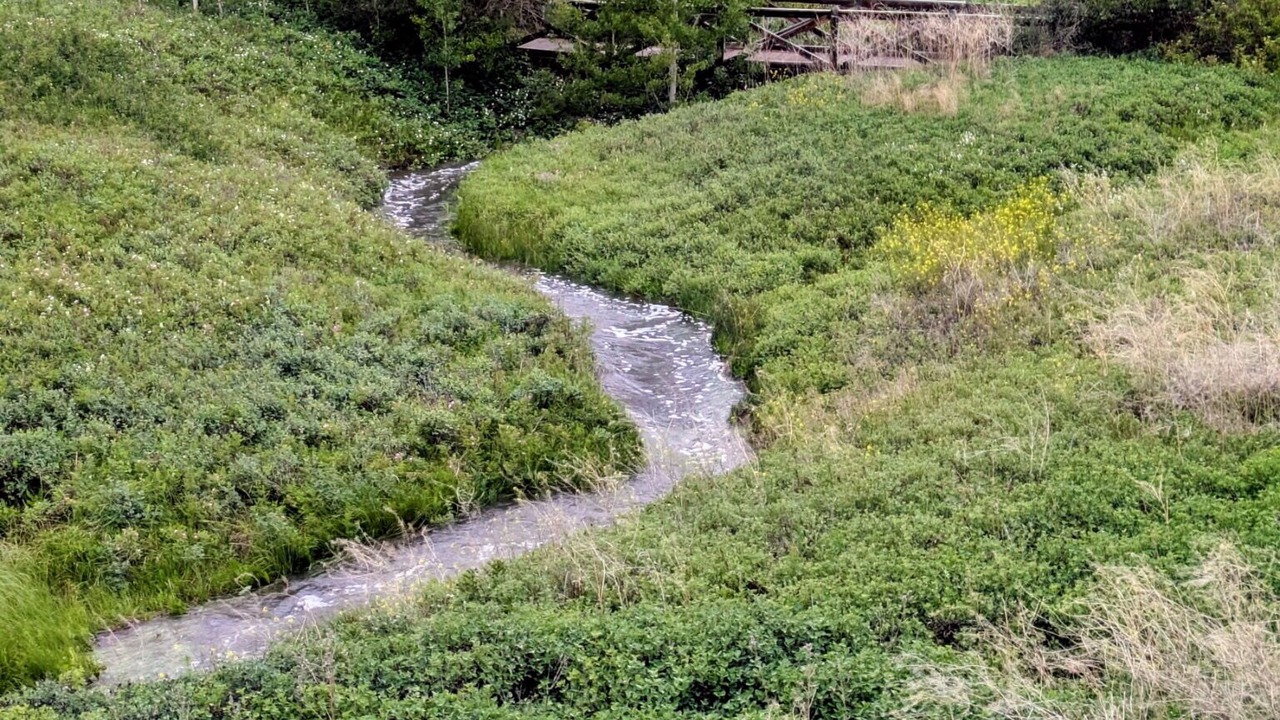 Photo of Outdoor in Panorama Hills
