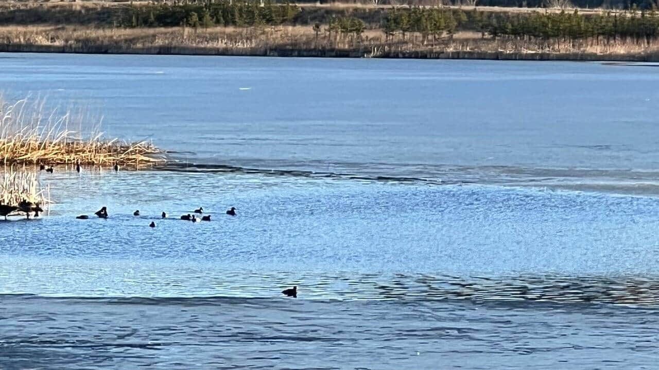 Photo of Others in Southeast Calgary