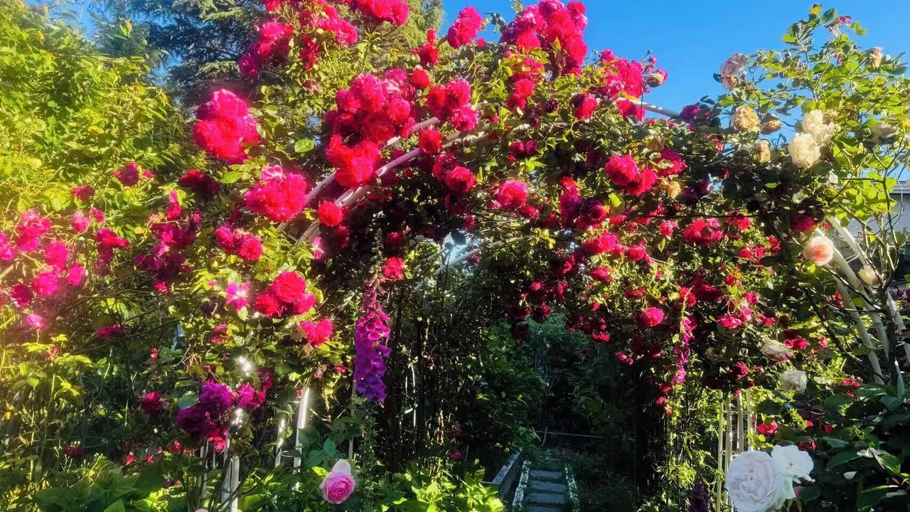 Photo of Outdoor in Surrey