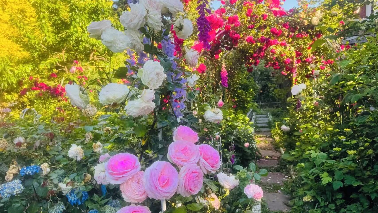 Photo of Outdoor in Surrey
