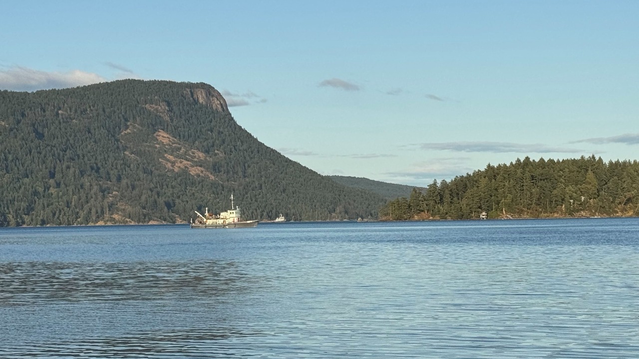 Photo of Others in Maple Bay