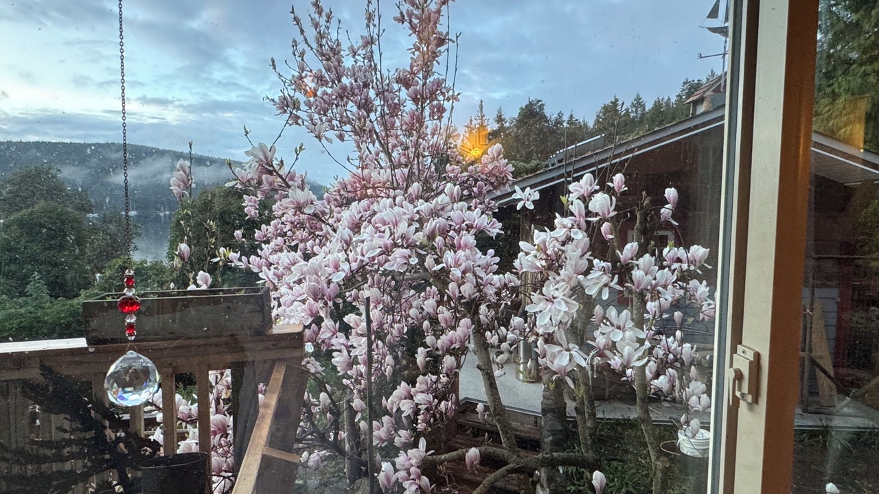 Photo of Others in Maple Bay