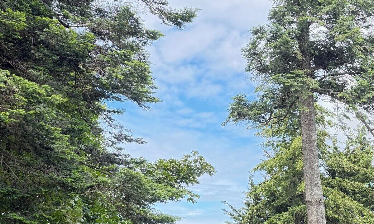 Photo of Outdoor in Delta