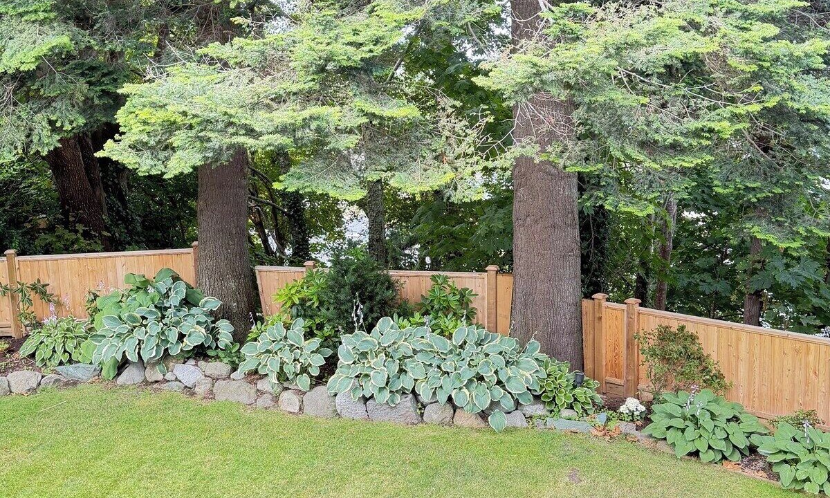 Photo of Outdoor in Delta