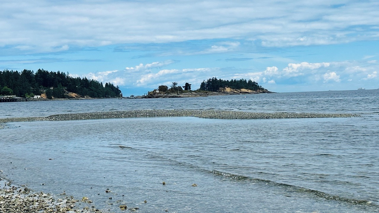 Photo of Others in Departure Bay