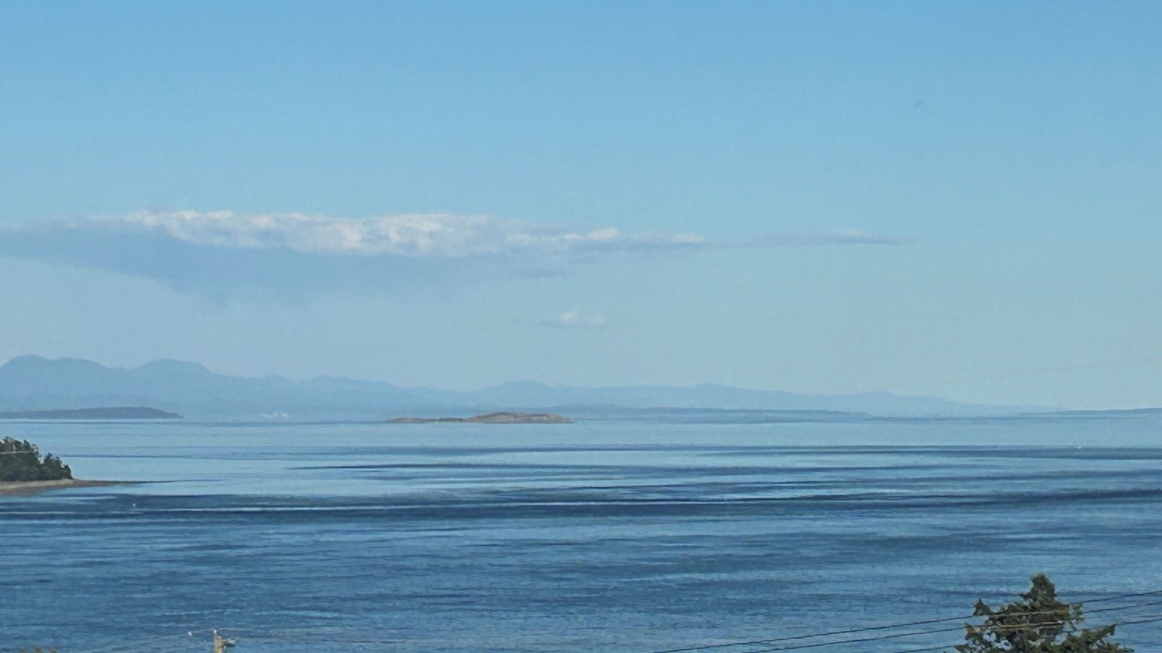 Photo of Others in Campbell River