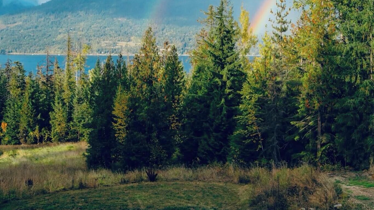 Photo of Others in Eagle Bay