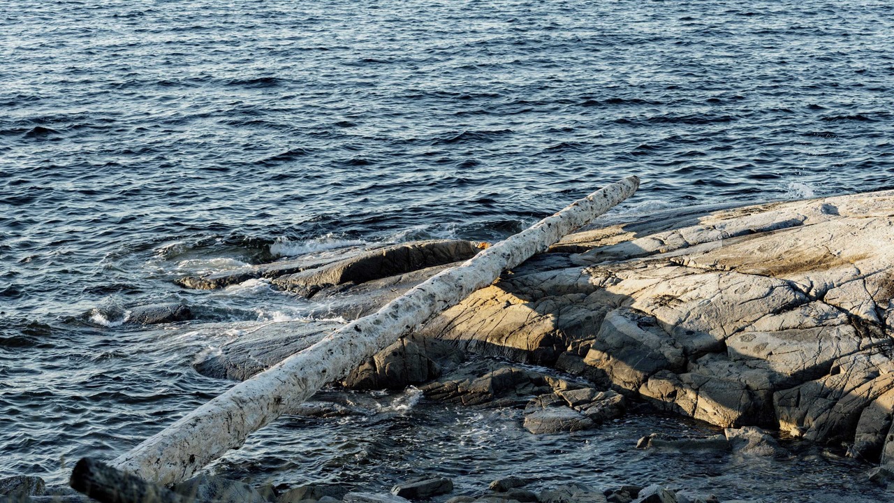 Photo of Others in Regional District of Nanaimo