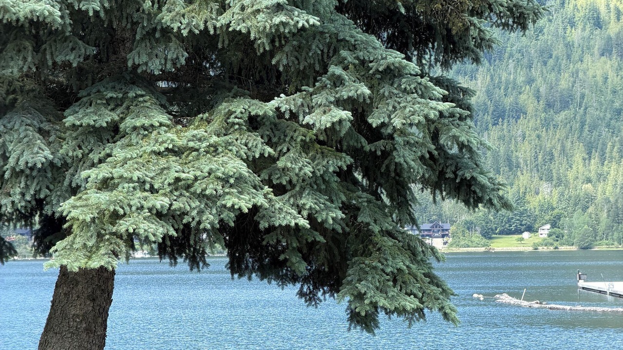 Photo of Outdoor in Sicamous