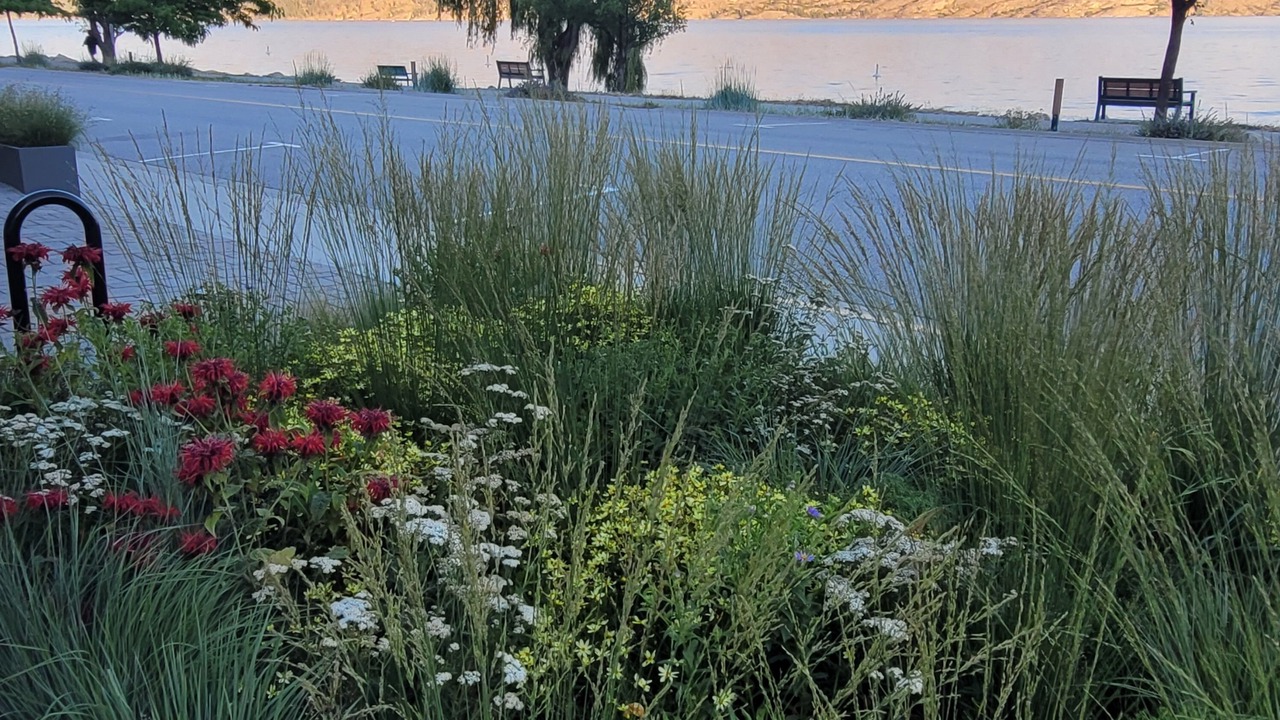 Photo of Outdoor in Central Okanagan