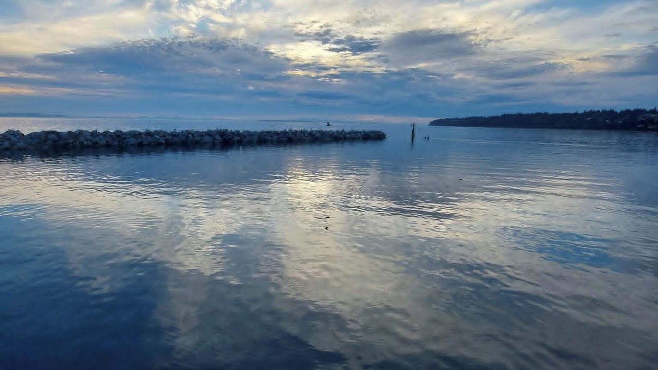 Photo of Others in Central Okanagan