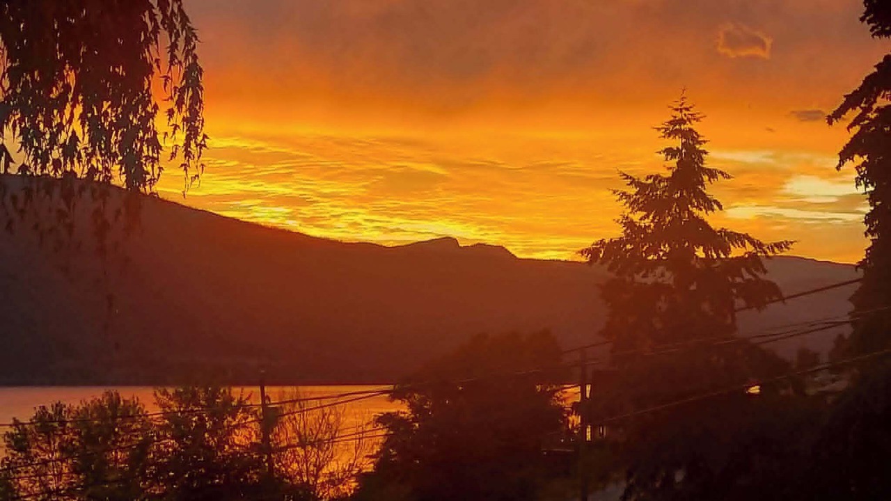 Photo of Others in Central Okanagan