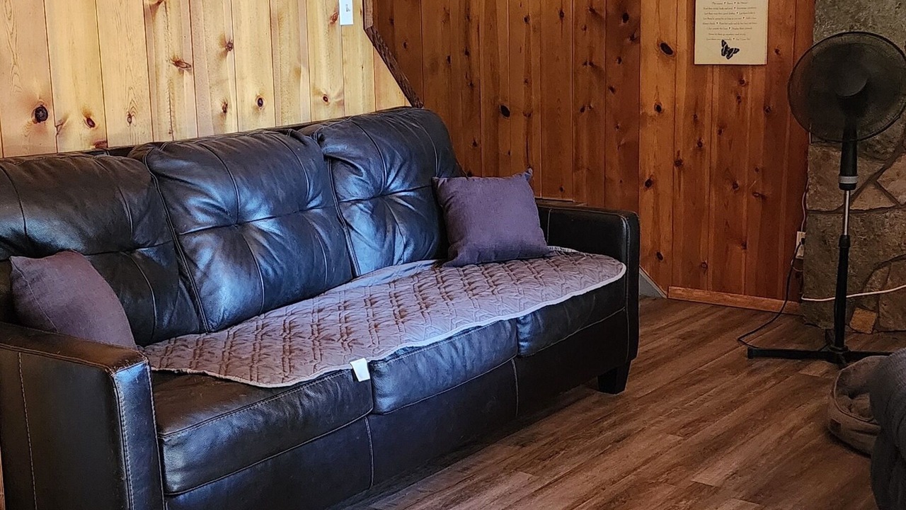 Photo of Livingroom in Grand Forks