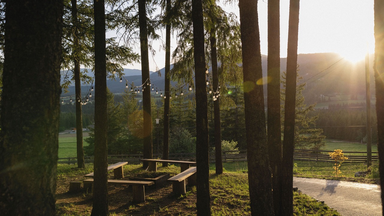 Photo of Outdoor in Tappen