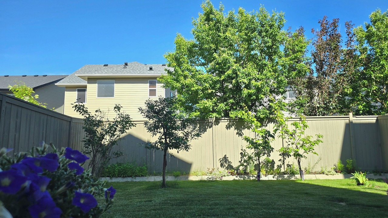 Photo of Outdoor in Kincora