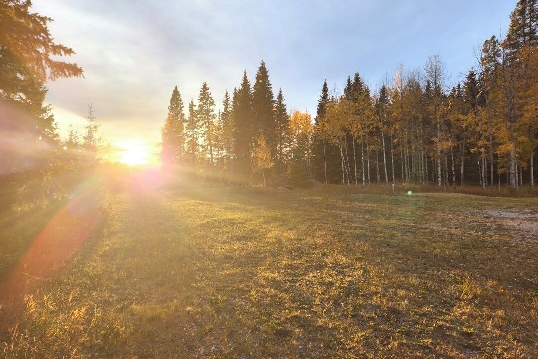Photo of Others in Clearwater County