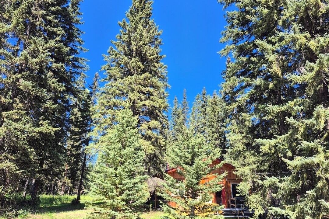 Photo of Others in Clearwater County