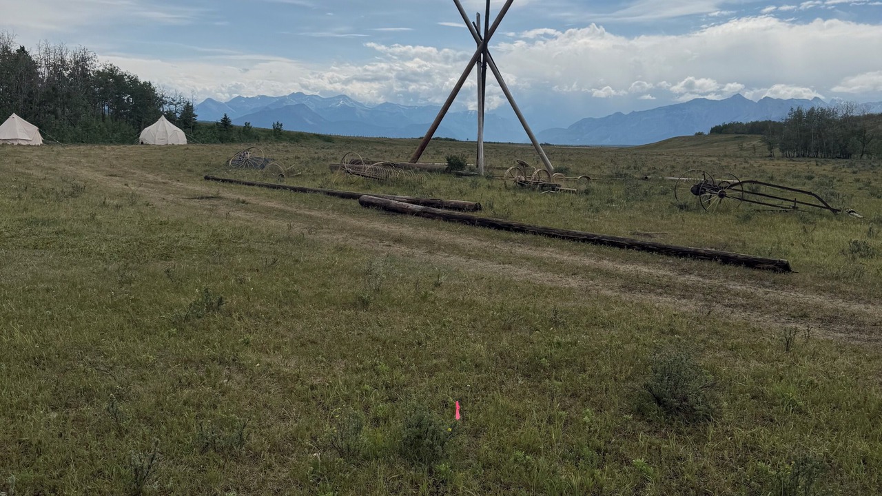 Photo of Others in Calgary