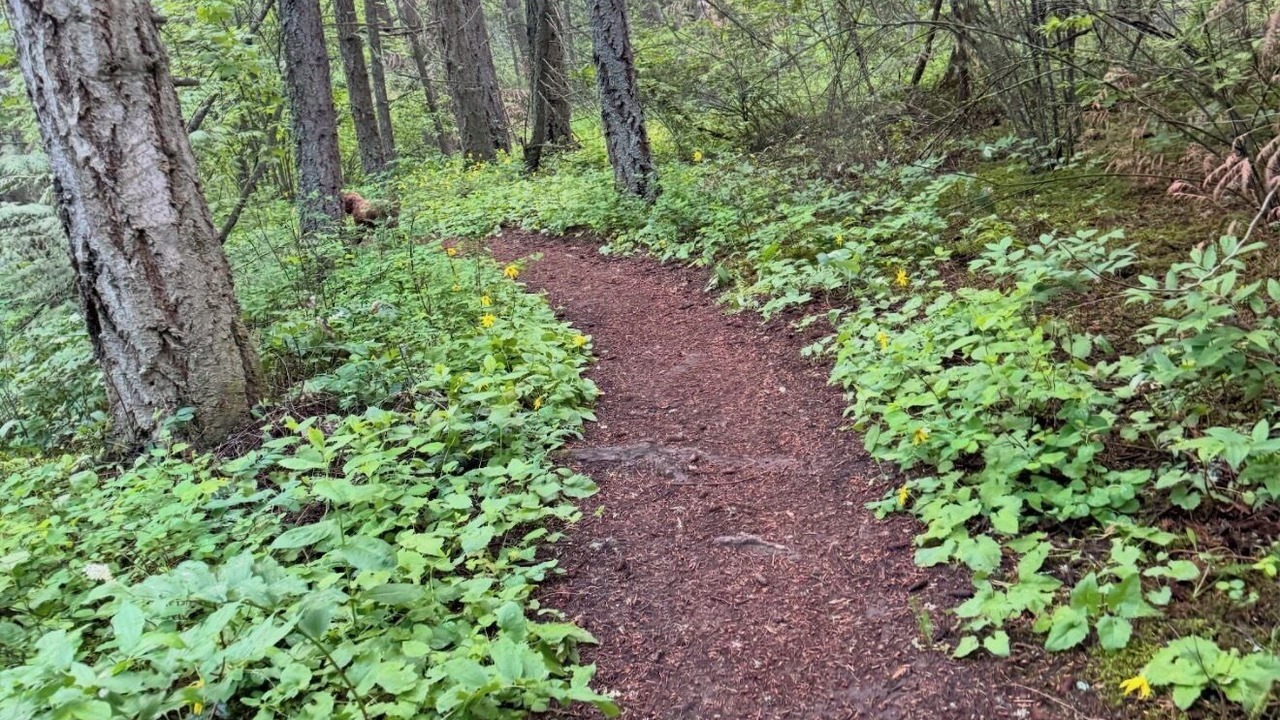 Photo of Others in Salmon Arm