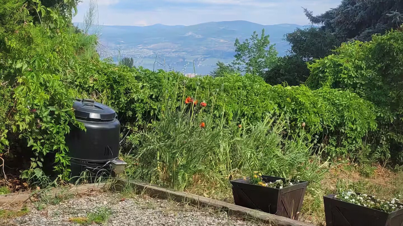 Photo of Outdoor in Westbank