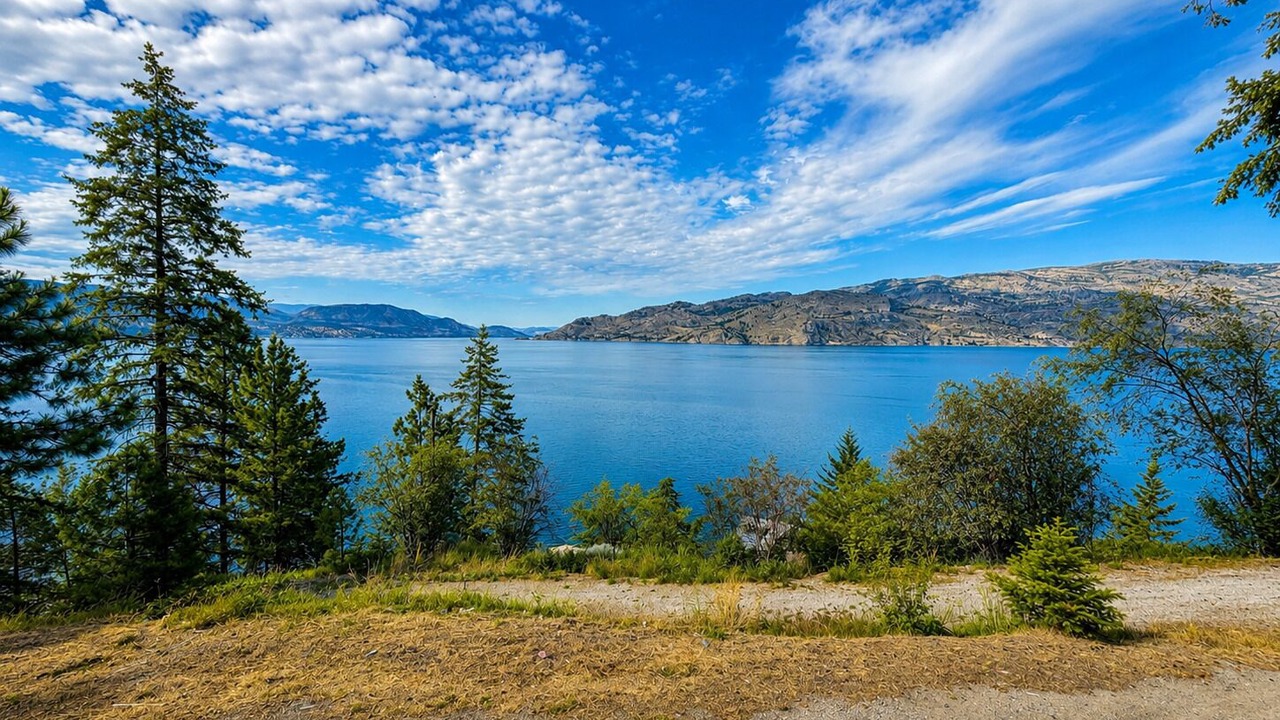 Photo of Others in Central Okanagan