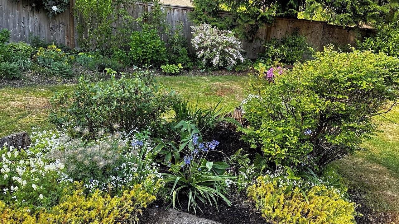 Photo of Outdoor in Canyon Heights