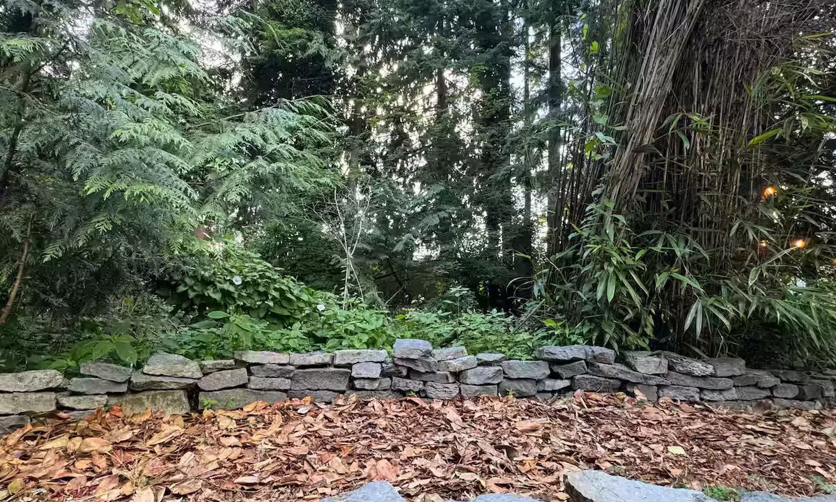 Photo of Outdoor in Lynn Valley