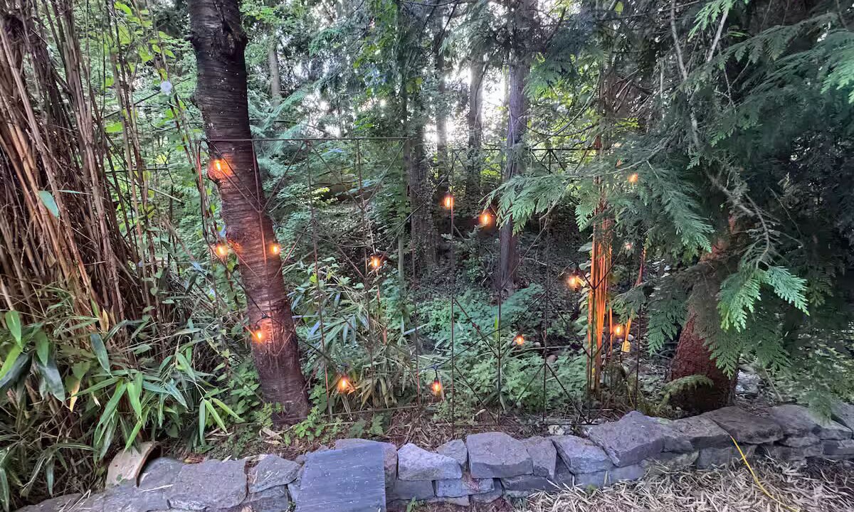 Photo of Outdoor in Lynn Valley
