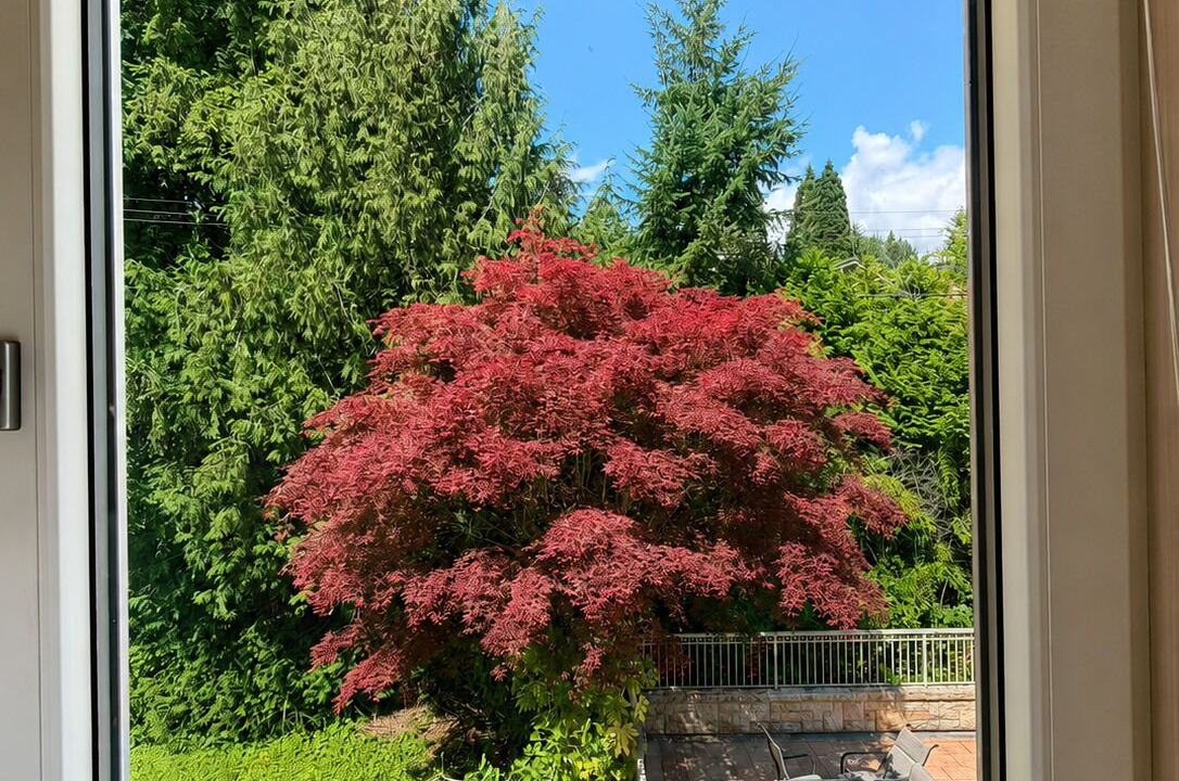 Photo of Others in West Vancouver