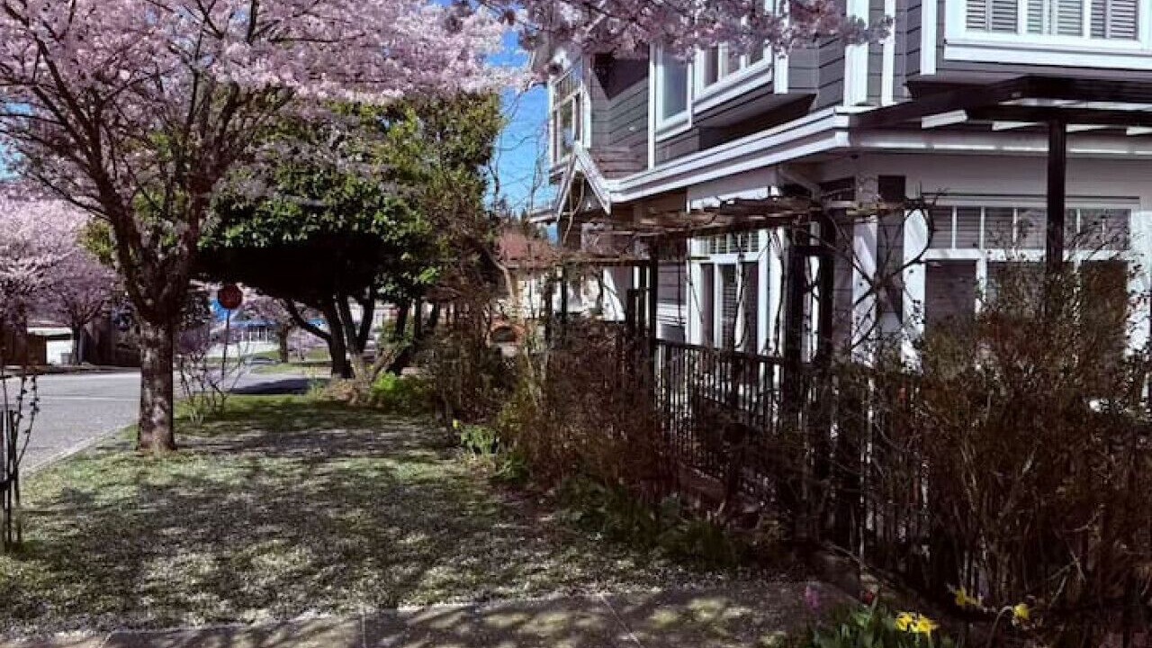 Photo of Outdoor in Renfrew-Collingwood