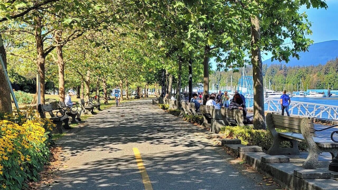 Photo of Others in Coal Harbour