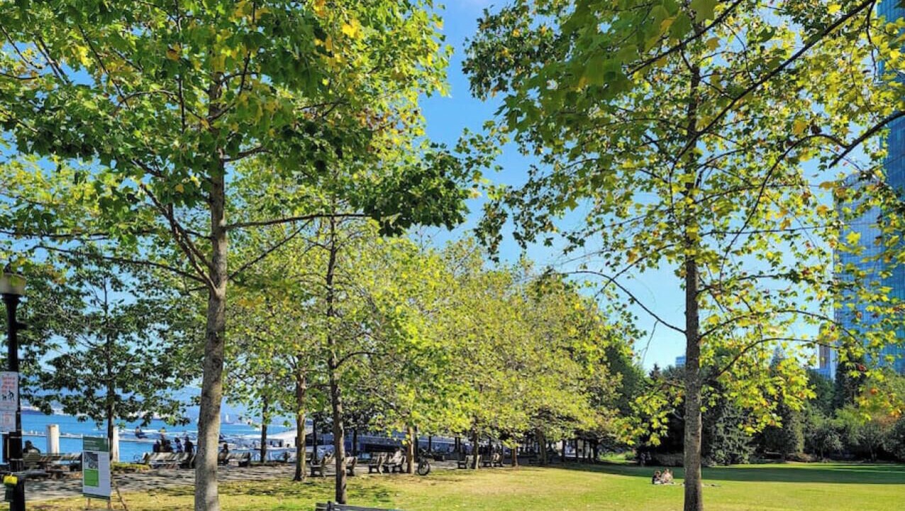 Photo of Others in Coal Harbour