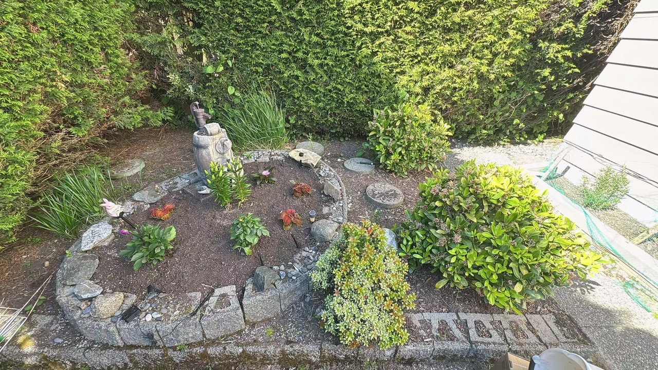 Photo of Outdoor in Steveston