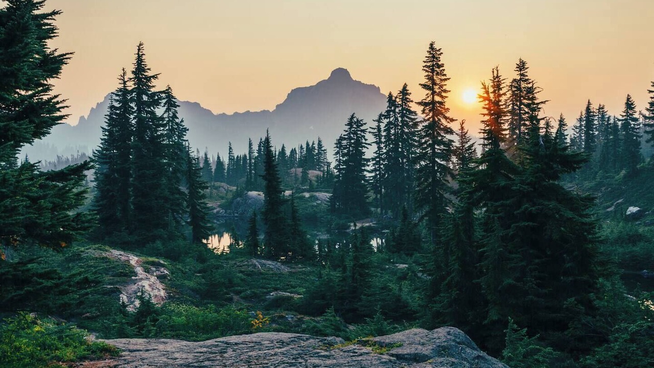 Photo of Others in Squamish