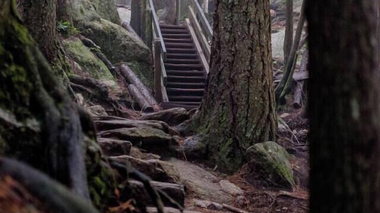 Photo of Others in Squamish