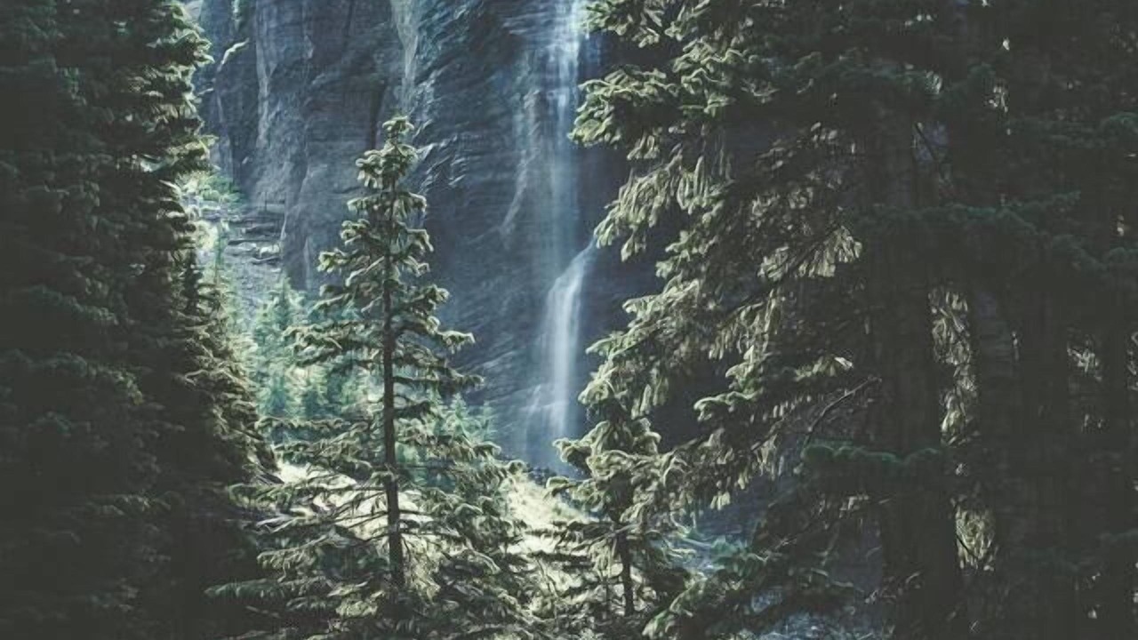 Photo of Others in Squamish