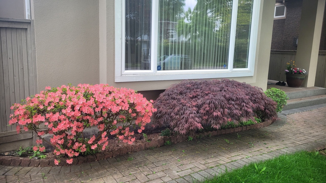 Photo of Outdoor in Arbutus Ridge