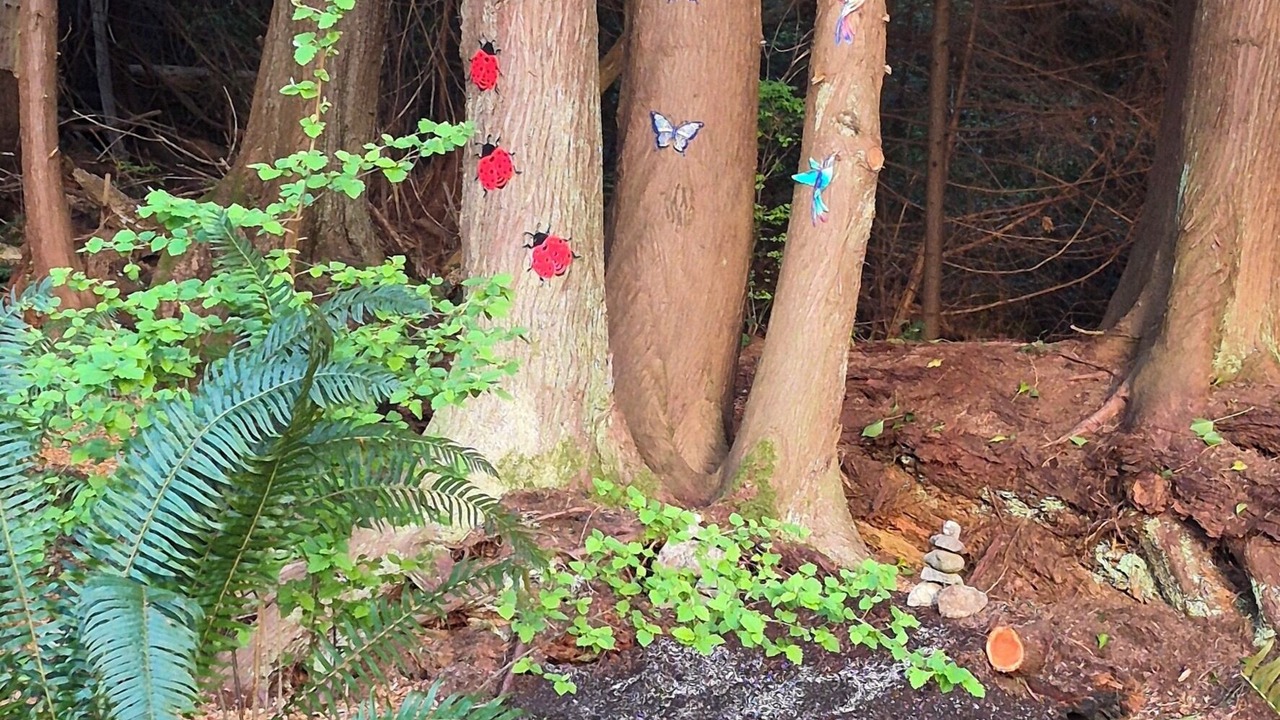 Photo of Outdoor in West Sechelt