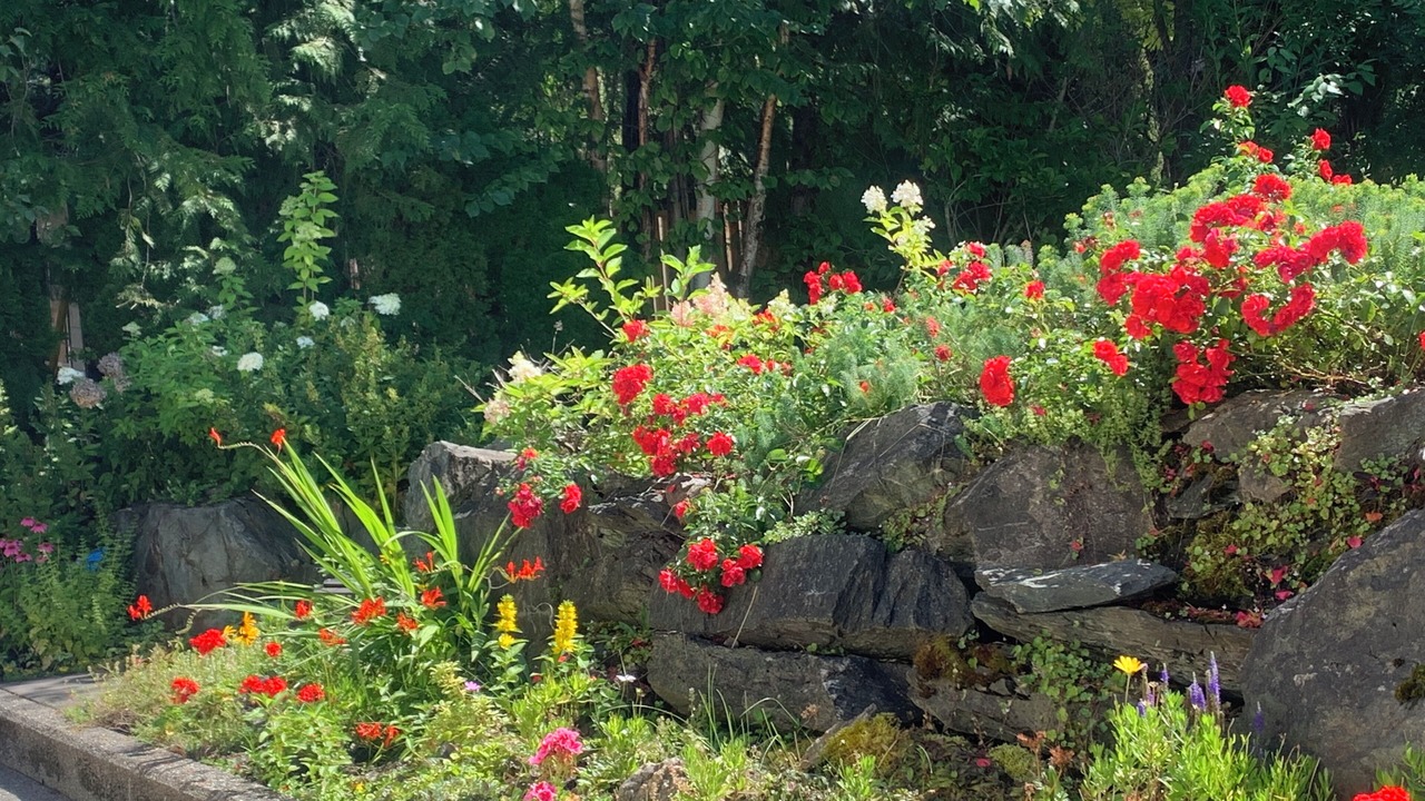 Photo of Outdoor in Sorrento