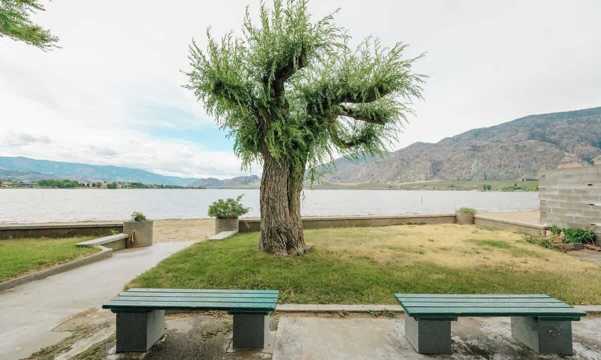 Photo of Outdoor in Osoyoos