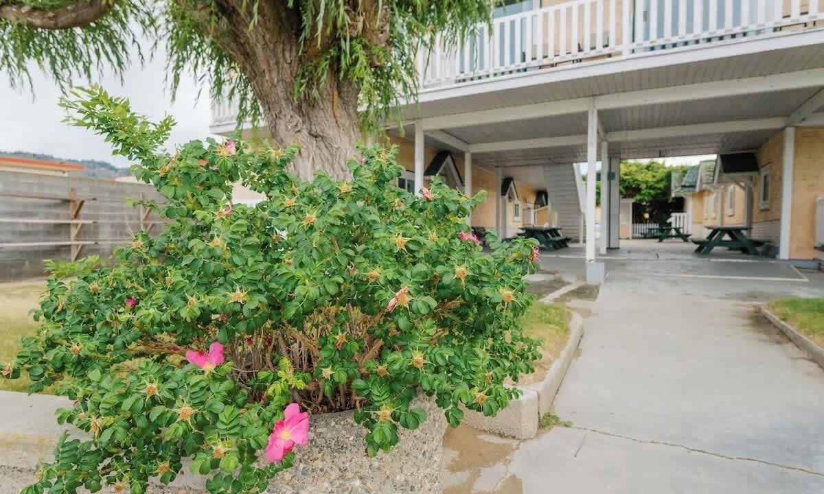 Photo of Outdoor in Osoyoos