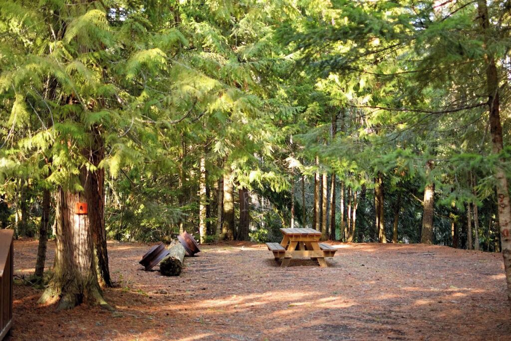 Photo of Outdoor in Cherryville