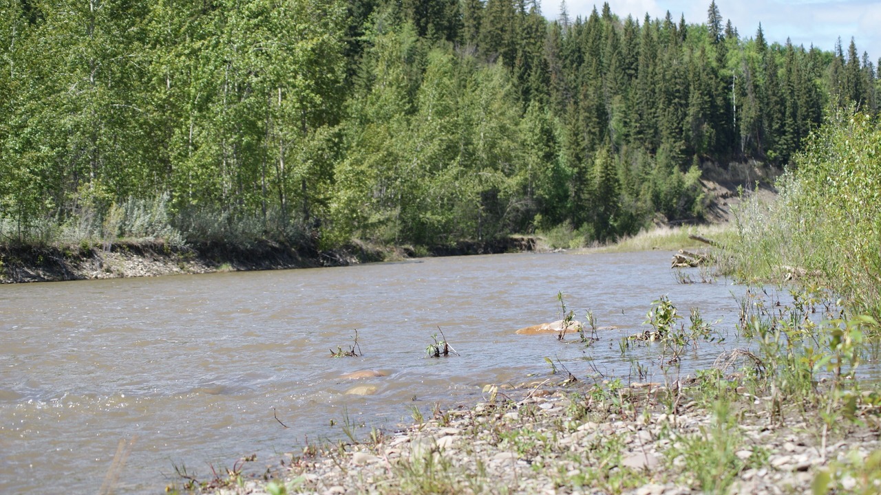 Photo of Others in Sundre