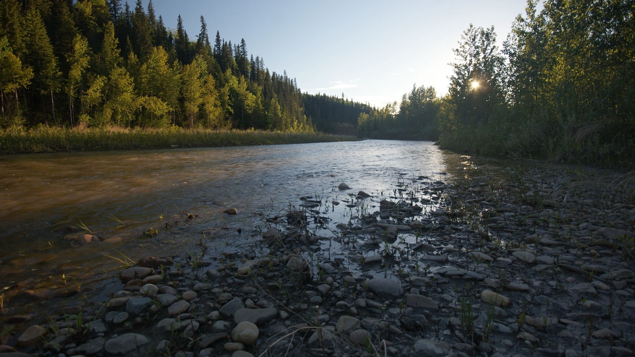 Photo of Others in Sundre