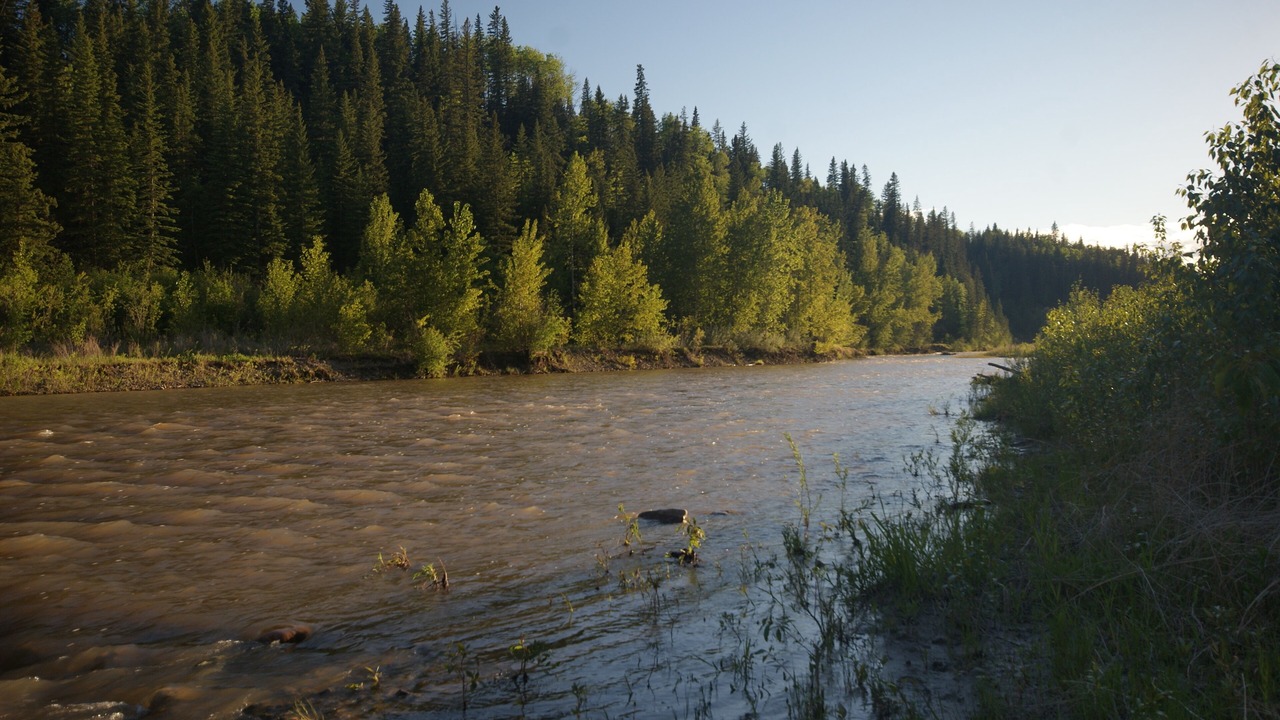 Photo of Others in Sundre